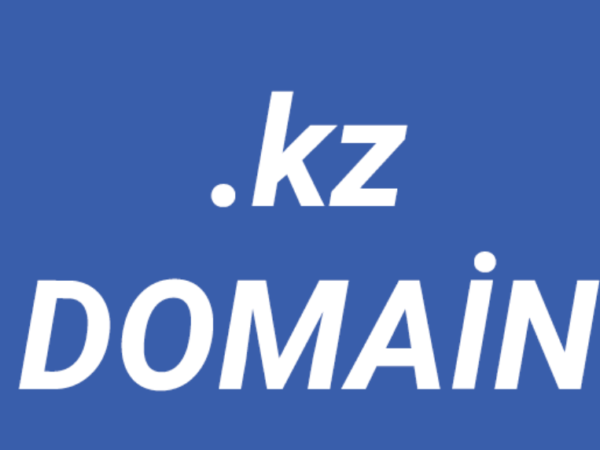 .KZ域名-哈萨克斯坦背后的网络力量