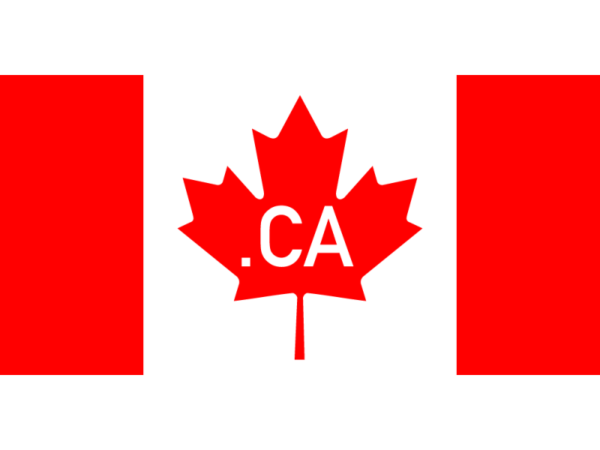 加拿大互联网现状及.ca域名的重要性
