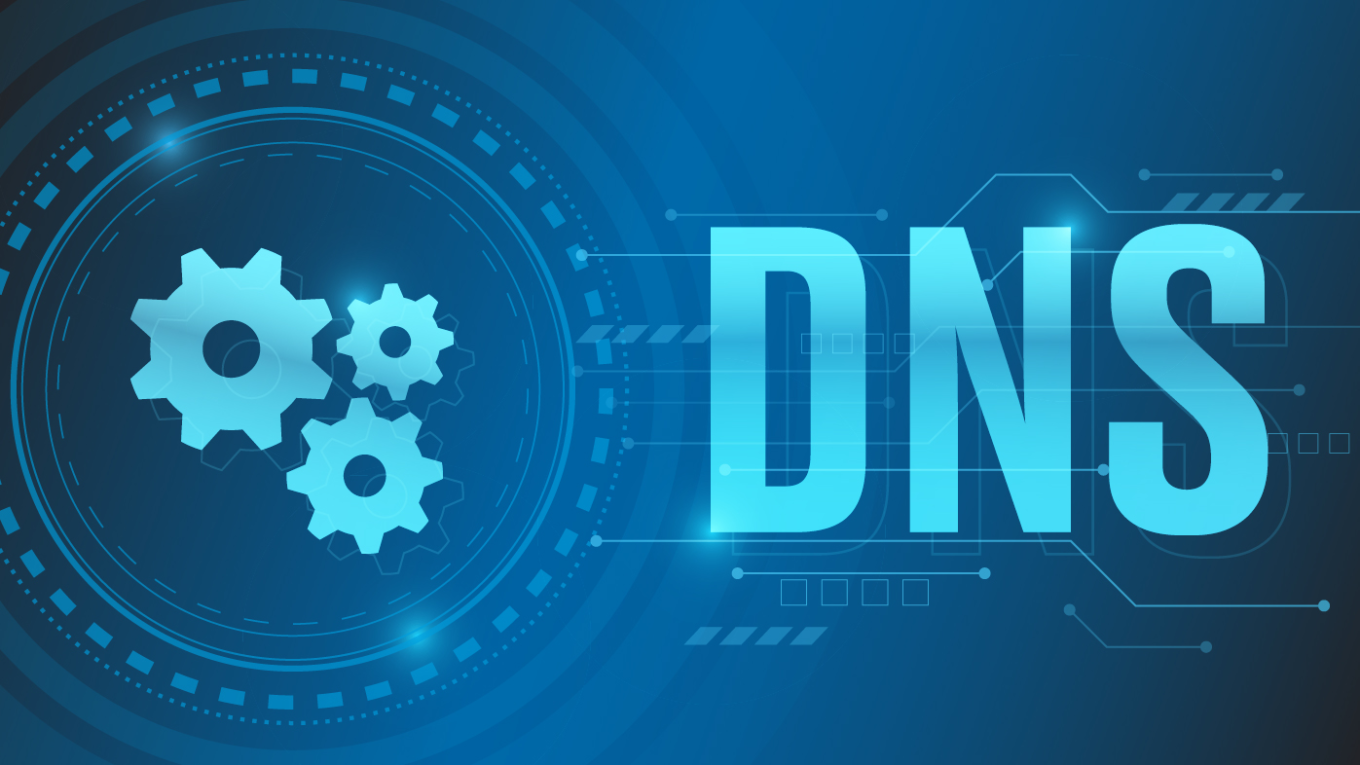 DNS服务器