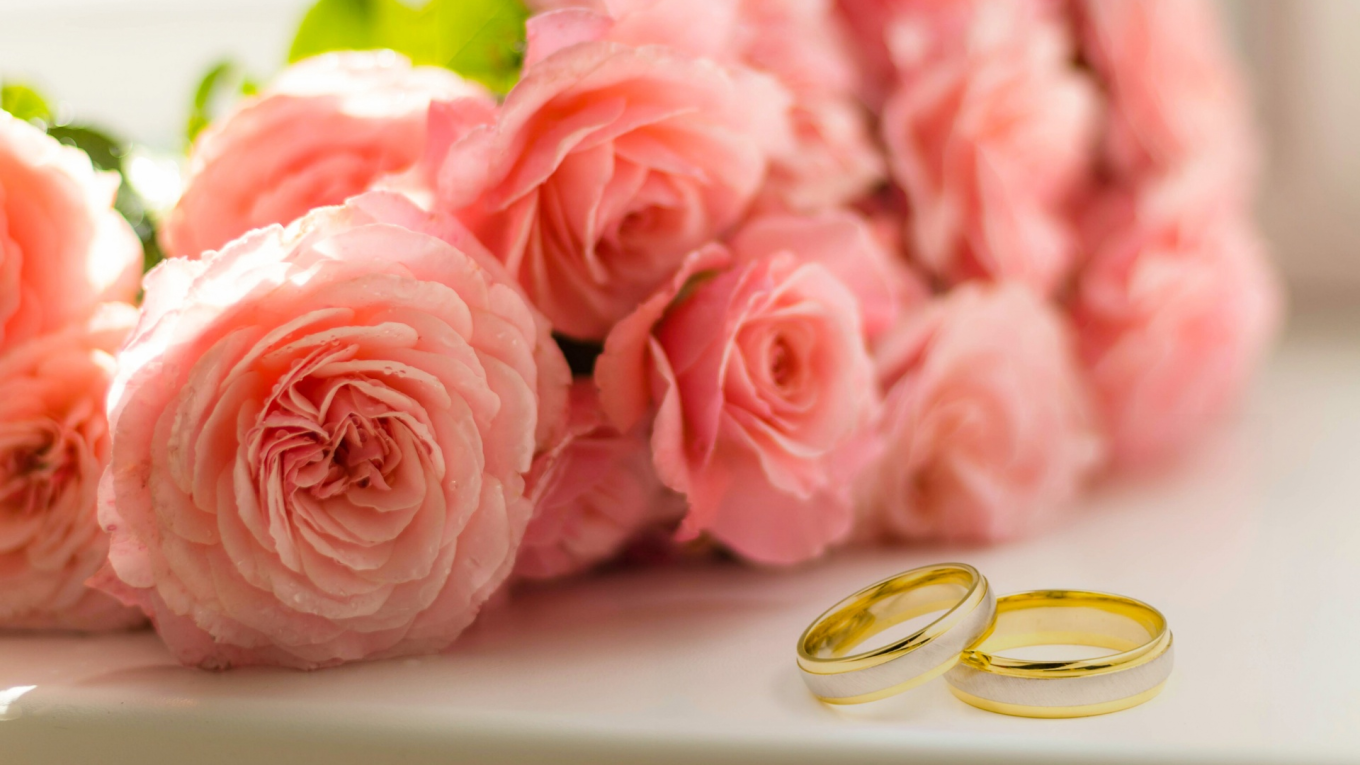 .wedding婚礼域名