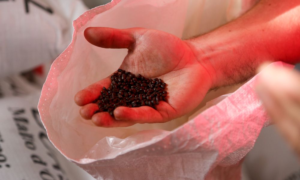加密货币域名支付的完整流程与操作指南