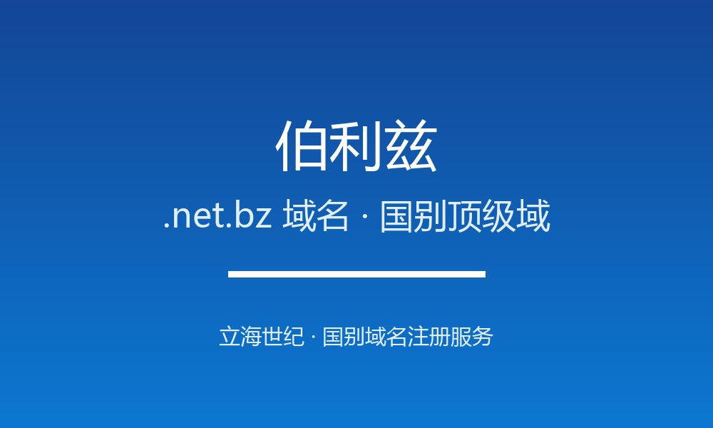 如何为伯利兹业务选.net.bz域名？注册与续费指南