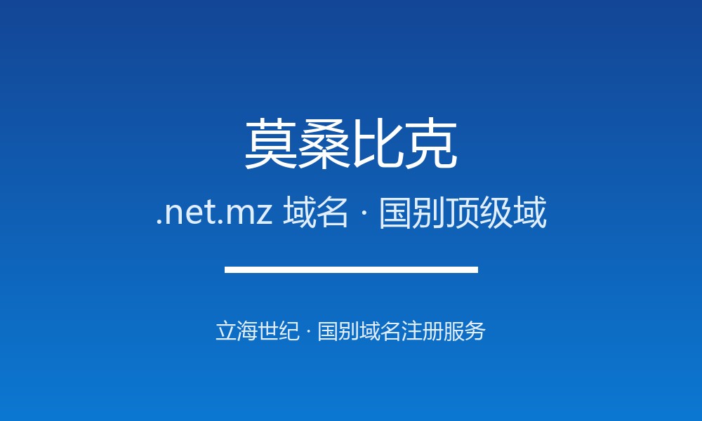 如何注册莫桑比克.net.mz域名？流程、资格与注意事项
